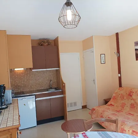 Daire Chaleureux Pour 6 Personnes Proche Des Pistes - Fr-1-165a-74 *